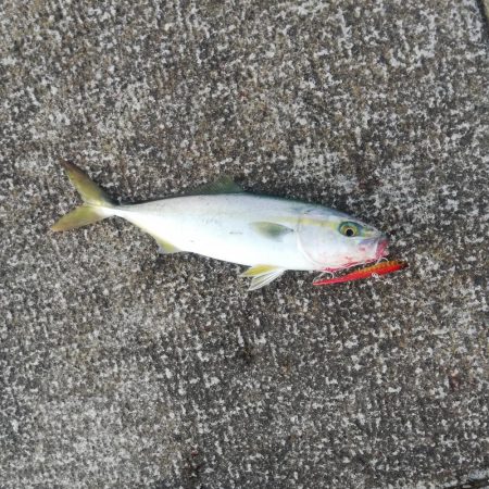 針先チェックは忘れずに！