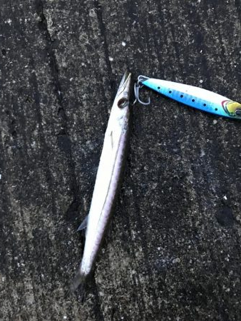 夏が近づいてきた