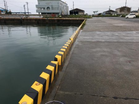 ガシラ7匹、コアジ匹、コサバ1匹