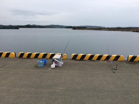 ツバス3匹、ガシラ2匹