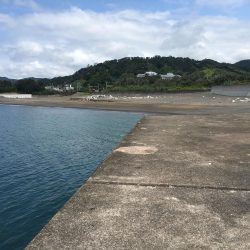 タイ、アジ、ガシラ