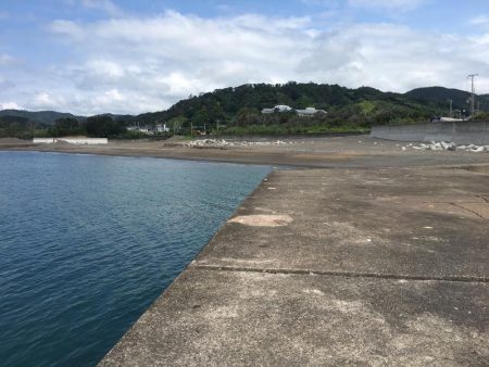 タイ、アジ、ガシラ