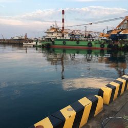 ダツ70㎝、ツバス2匹