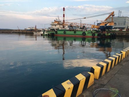 ダツ70㎝、ツバス2匹