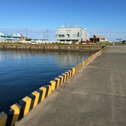 ツバス6匹、タイ1匹