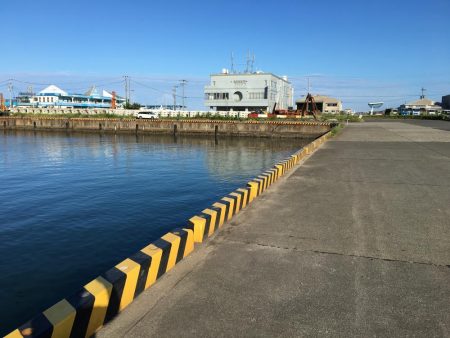 ツバス6匹、タイ1匹