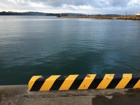 グレ28㎝、ツバス8匹ほか