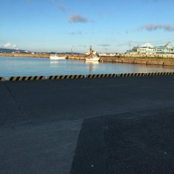 ツバス、カンパチなど