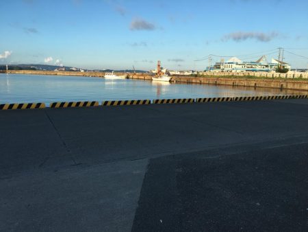 ツバス、カンパチなど