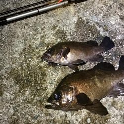 そろそろ終わりにしましょうか？