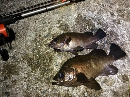 そろそろ終わりにしましょうか？