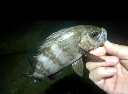 まだ行ってます！