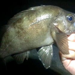 感動のフィナーレ！？