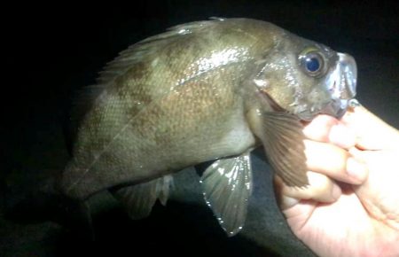 感動のフィナーレ！？