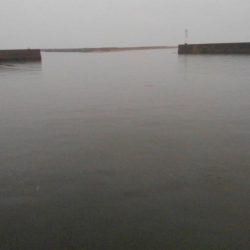 まるで漁師のよう