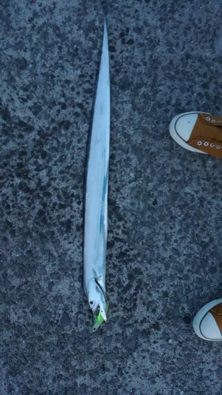 この場を借りて･･･