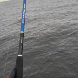 ツバスだらけ！