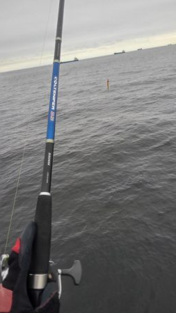 ツバスだらけ！