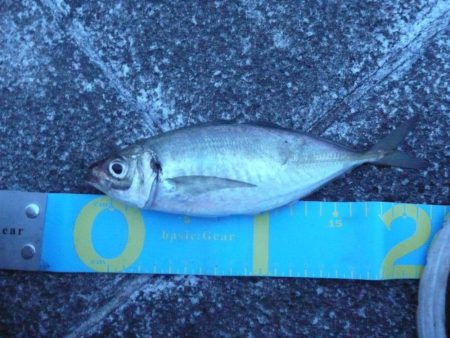 体高すごい！！