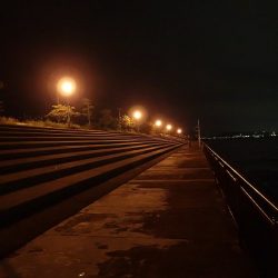 夢中になる豆アジング!