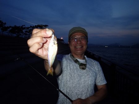 悶絶・やみつき・豆アジング！