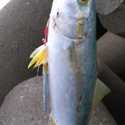 ヤズのちペンペン