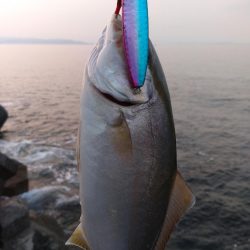 ダイソージグでネイリ