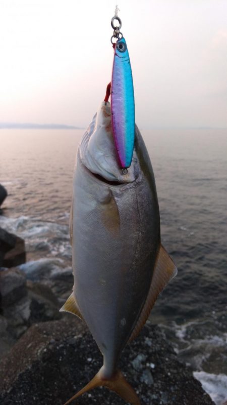 ダイソージグでネイリ