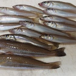 梅雨の晴れ間に