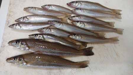 梅雨の晴れ間に