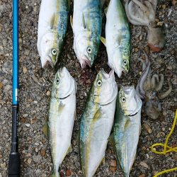 雨の予報やったけど。。