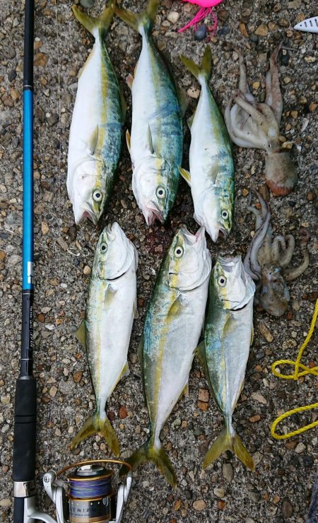 雨の予報やったけど。。