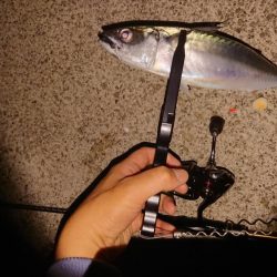 アジングからのサバゲー。