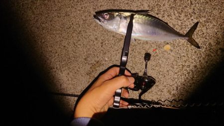 アジングからのサバゲー。