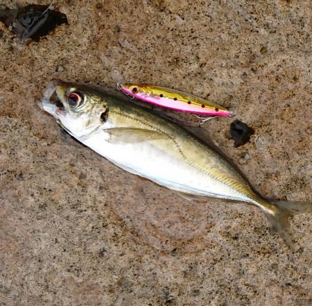 寝坊して昼から・・・