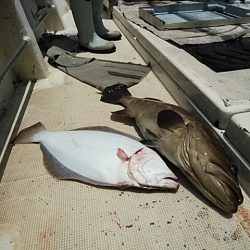 大物釣果速報！●光義丸：平戸市早福港