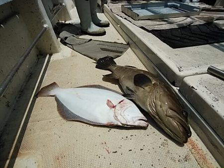 大物釣果速報！●光義丸：平戸市早福港