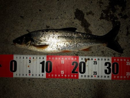 強風の留萌エリア