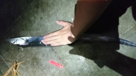 梅雨前線停滞あいにくの雨、花火も上がり夏来…