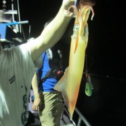 ジギング船 BLUEWATER 釣果