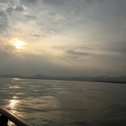 なんとかツバス