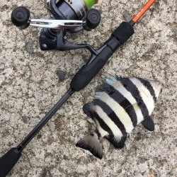 エサ釣り(⁎˃ᴗ˂⁎)気軽にいろんな魚