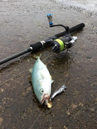 夏のスーパーライトショアジギングSLS