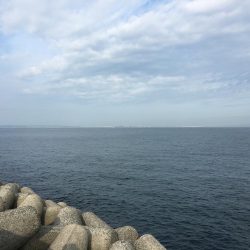 もうそろそろハマチかな？