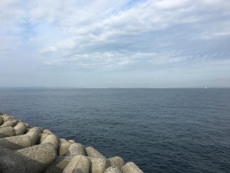 もうそろそろハマチかな？