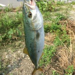 出だしは良かったものの