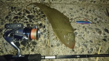 「照りゴチ」シーズン到来！夜半の夕涼みショアジギングでマゴチゲーム