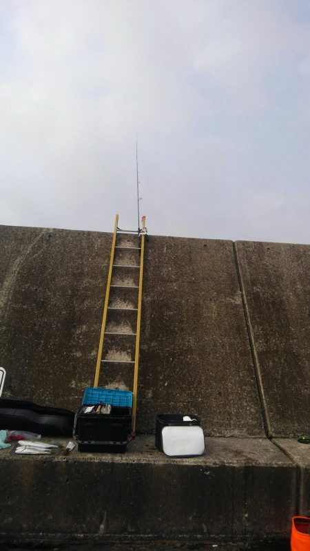 須磨一文字でのエレベーター仕掛け呑ませ釣り