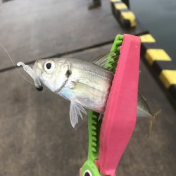 オクトパッシング デイアジング