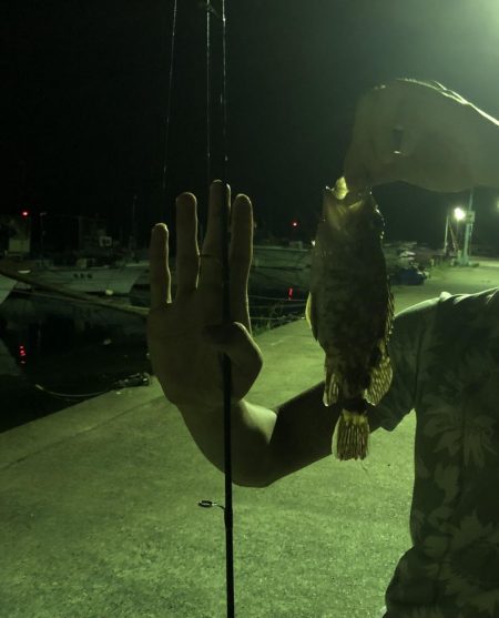 ガシリング釣果